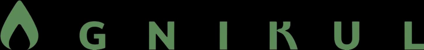 Agnikul Cosmos logo