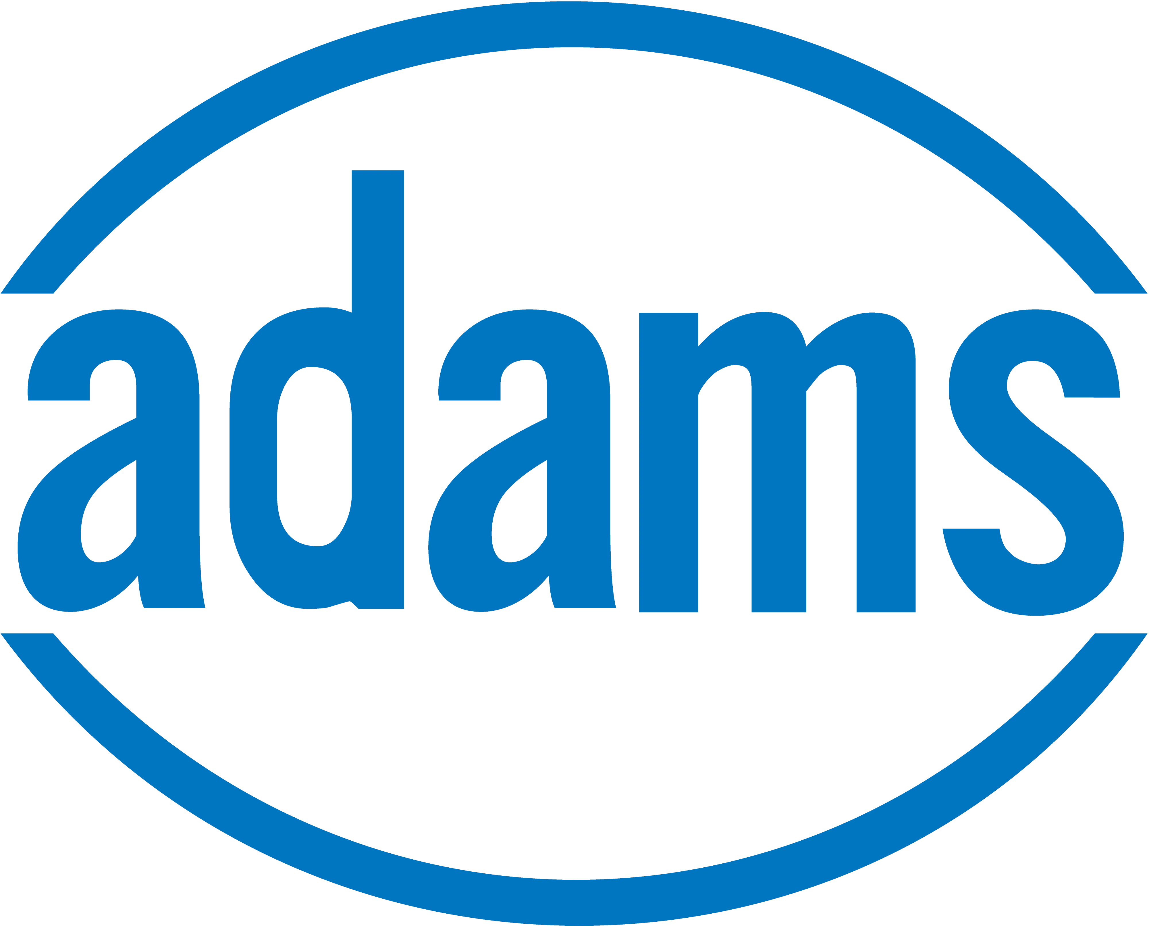 Adams Engineering Projects Private Limited logo