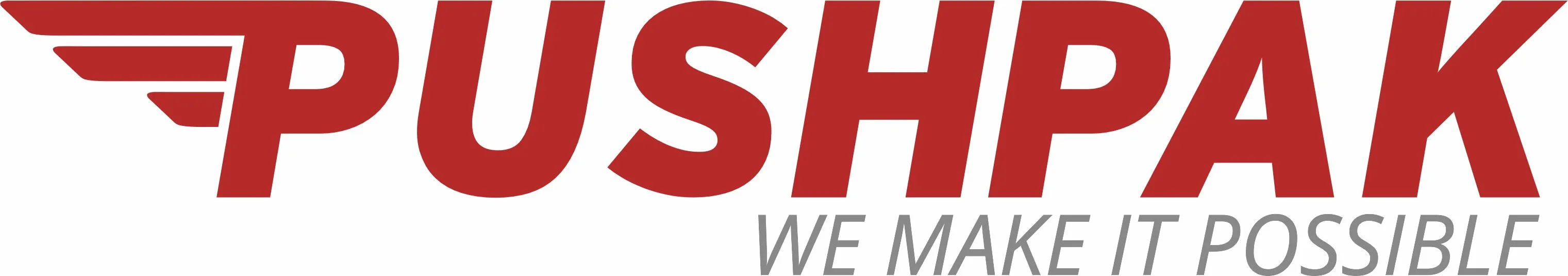 Pushpak Aerospace India Pvt Ltd logo