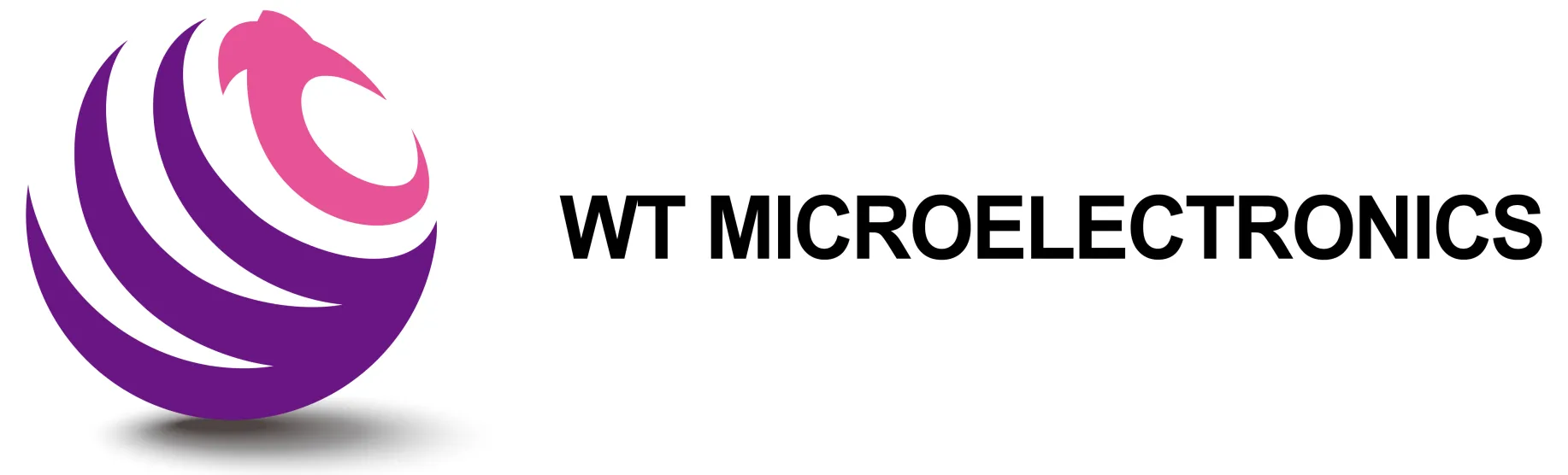 Wt Microelectronics India Private Limited logo