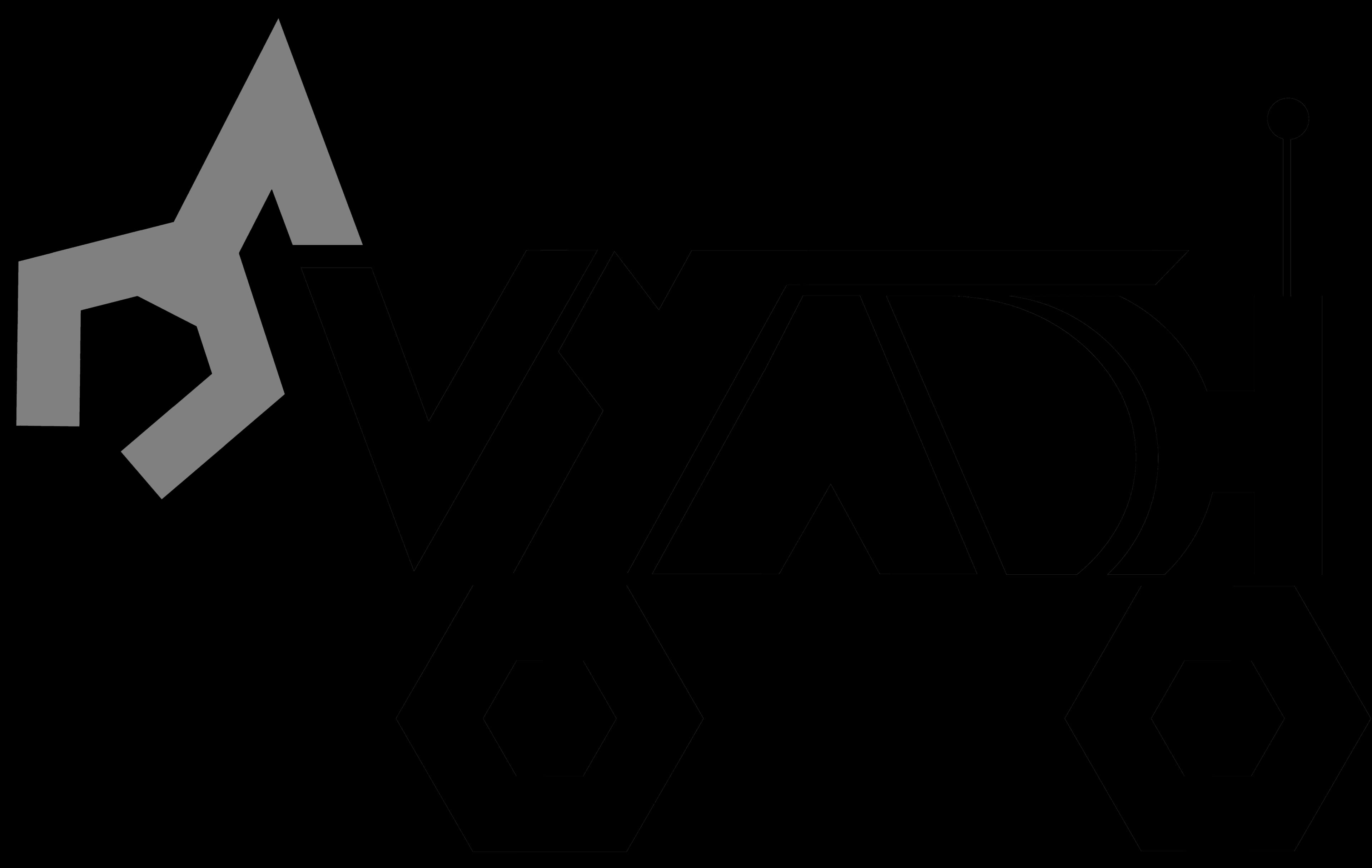 Team Vyadh VIT Vellore logo
