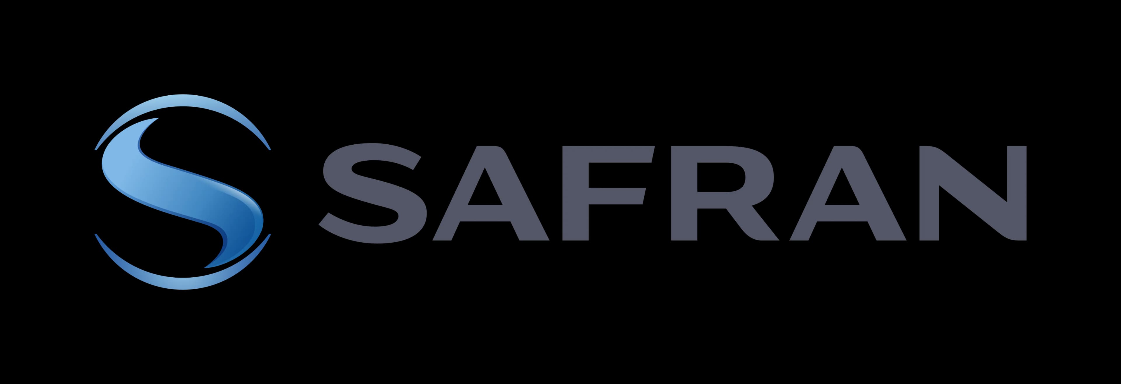 Safran Data Systems India Pvt Ltd logo